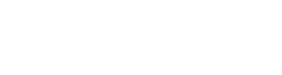 VM Automobiles
